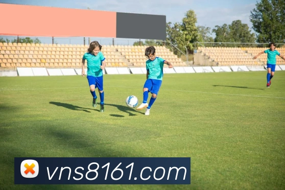 威尼斯娱乐城网站平台生态图